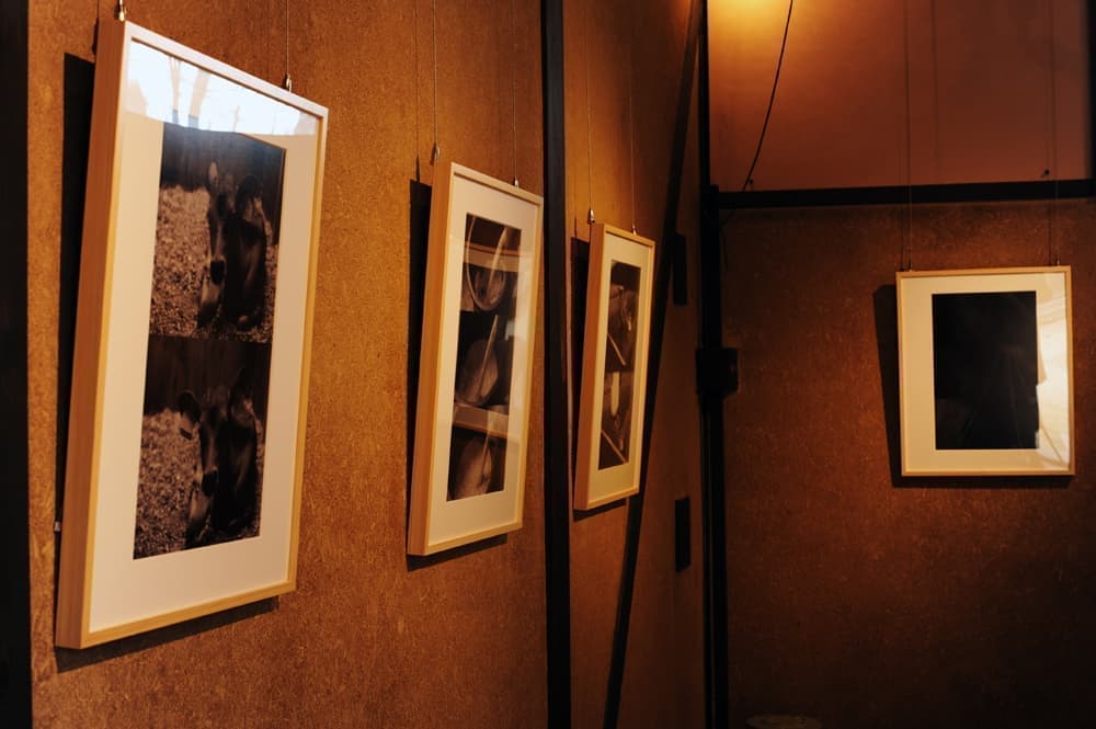 食べものの呼吸