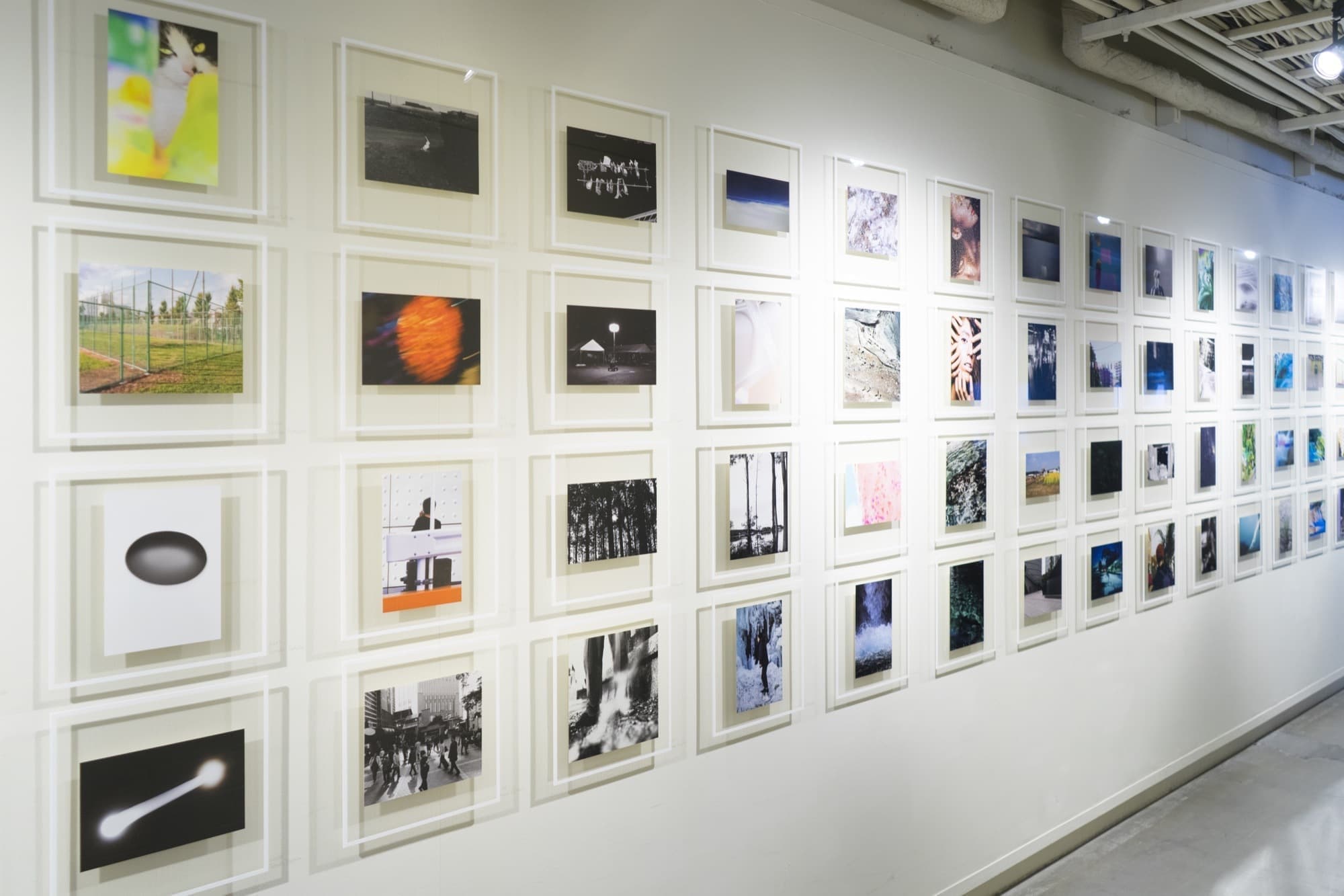 EINSTEIN STUDIO PRINTS